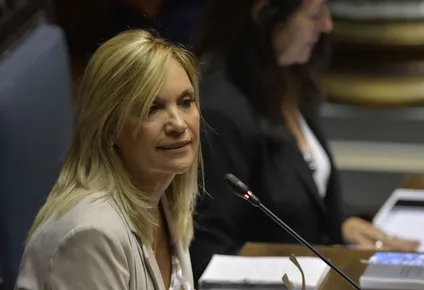 del consenso a las chicanas: senado voto fondo coronavirus con deja vu de 2002