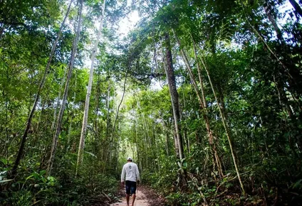 Los países amazónicos decidieron promover medidas para preservar la mayor selva tropical.
