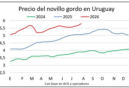 Novillos con precios que por tercer año consecutivo muestran una firmeza relevante.