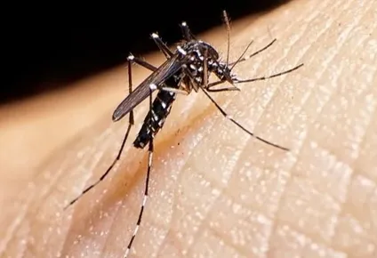 Dengue.