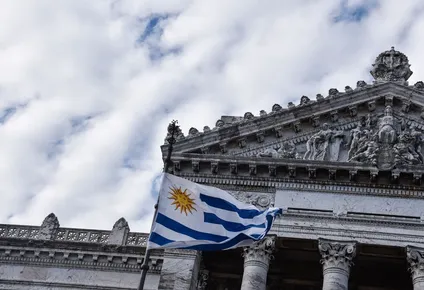 Oportunidad en la Cámara de Senadores