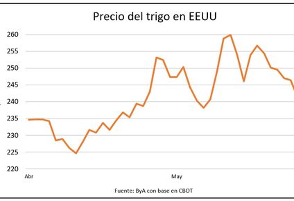 Trigo: derrumbe del precio justo cuando se inicia una nueva zafra de producción en Uruguay.