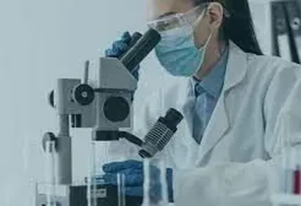 innovacion: historia, trayectorias y desafios