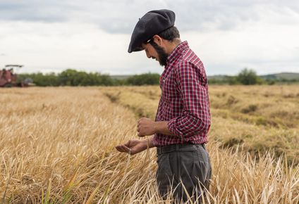 UTU: la gestión productiva en las escuelas agrarias generó importantes ganancias en 2023.