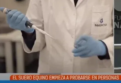 prueban suero equino en pacientes con coronavirus de 18 hospitales argentinos