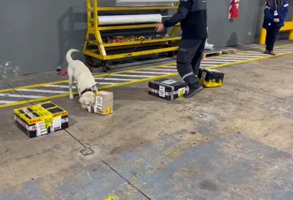 La Aduna trabaja en la detección del ingreso de fentanilo