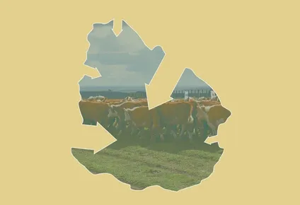 ¿por que uruguay importa los alimentos que produce?