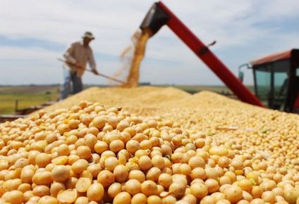 la cadena agroindustrial, un engranaje invisible que alimenta a la argentina