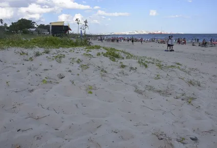 encontraron en la playa el cuerpo de un hombre desaparecido desde el 24 de agosto