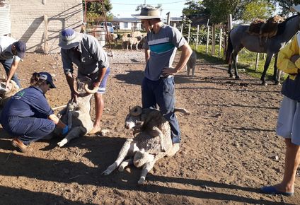 Producción familiar en Uruguay: en el foco de los esfuerzos del INIA.
