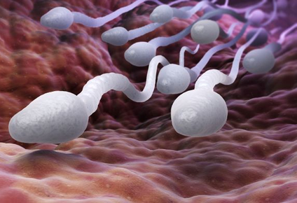 El número de personas que dona semen en España crece cada vez más.&nbsp;
