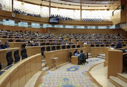 El senador del PP Luis Javier Santamaría interviene en el pleno del Senado .