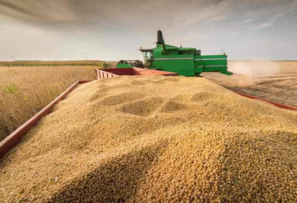 exportaciones record de granos y subproductos para el primer semestre de 2026