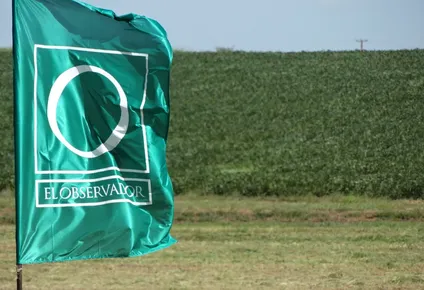 el campo y sus verdades en agro de el observador