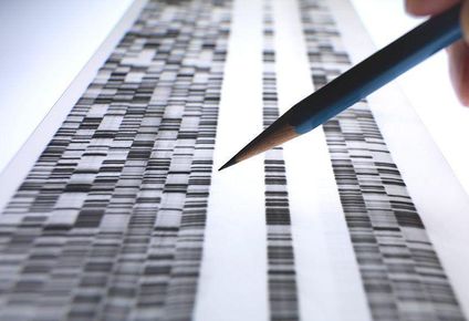 que son los misteriosos desiertos geneticos de nuestro adn que los cientificos asocian con enfermedades como el cancer y el crohn