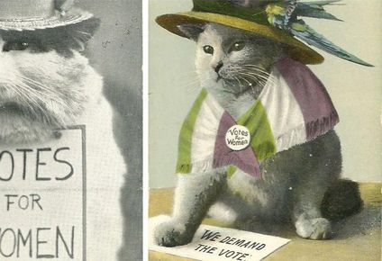 Postales con gatos de la campaña para el derecho de votar para las mujeres (de la colección de Ann Lewis y Myron Sponder).