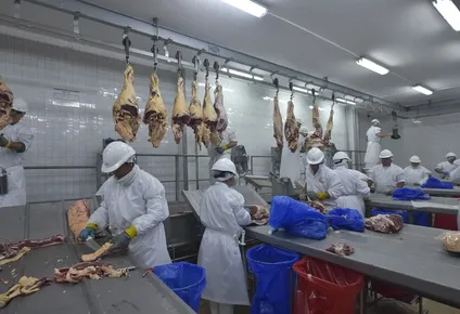 Las exportaciones cárnicas volvieron a tener un trimestre positivo.