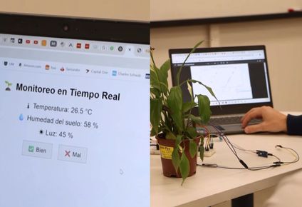 las plantas uruguayas que chatean por telegram para pedir agua gracias a la ia y conversar con su dueno