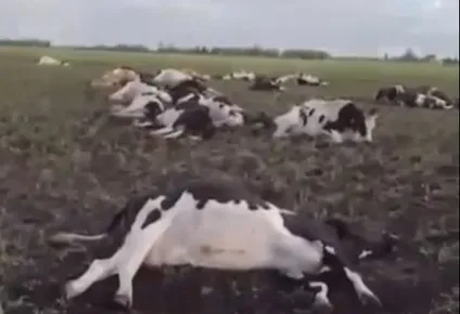 Captura del video.