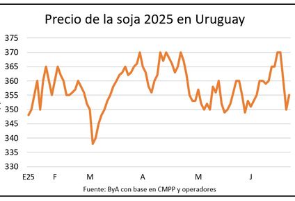 Mercado de granos, por Blasina y Asociados.