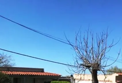 cartelera semanal de subastas