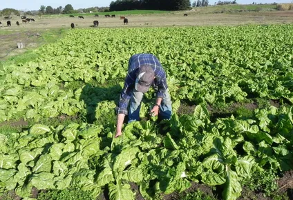 el plan de los ministros de agricultura para que no falten alimentos durante la pandemia