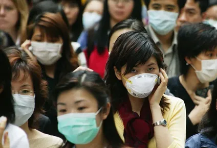 por que la peste porcina que azota a china es dificil de erradicar