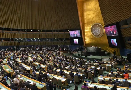 Asamblea General de la ONU