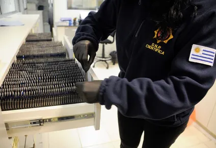 interior debio desbloquear en argentina iphones incautados a delincuentes