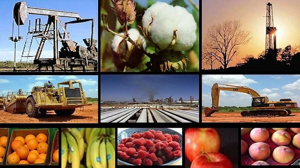 actividad-economica.jpg