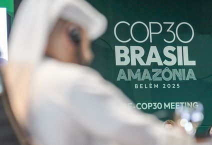 COP30, en Brasil, una instancia de alta relevancia.