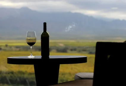 tres vinos uruguayos fueron distinguidos entre los mejores del mundo