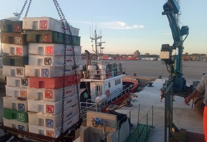 Barcos de pesca de altura y costeros están activos ya casi en su totalidad.