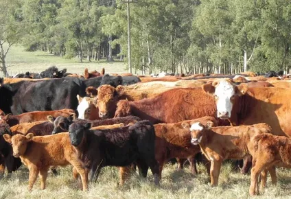 extendieron el plazo para postularse y acceder a apoyos por la emergencia agropecuaria