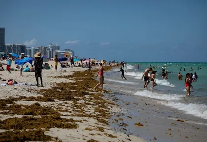 florida: la gente en las playas y el coronavirus contagiando a niveles record