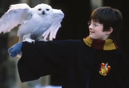 duelo de streaming: las peliculas de harry potter se van de netflix y llegan a hbo